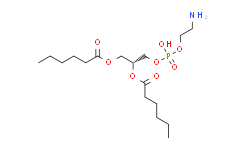 1，2-dihexanoyl-sn-glycero-3-phosphoethanolamine,>99%