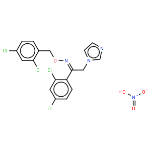 硝酸奥昔康唑图片